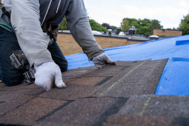 Best Roof Gutter Cleaning  in Staples, CT